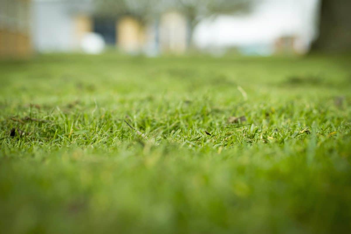 Flexible pet waste collection options