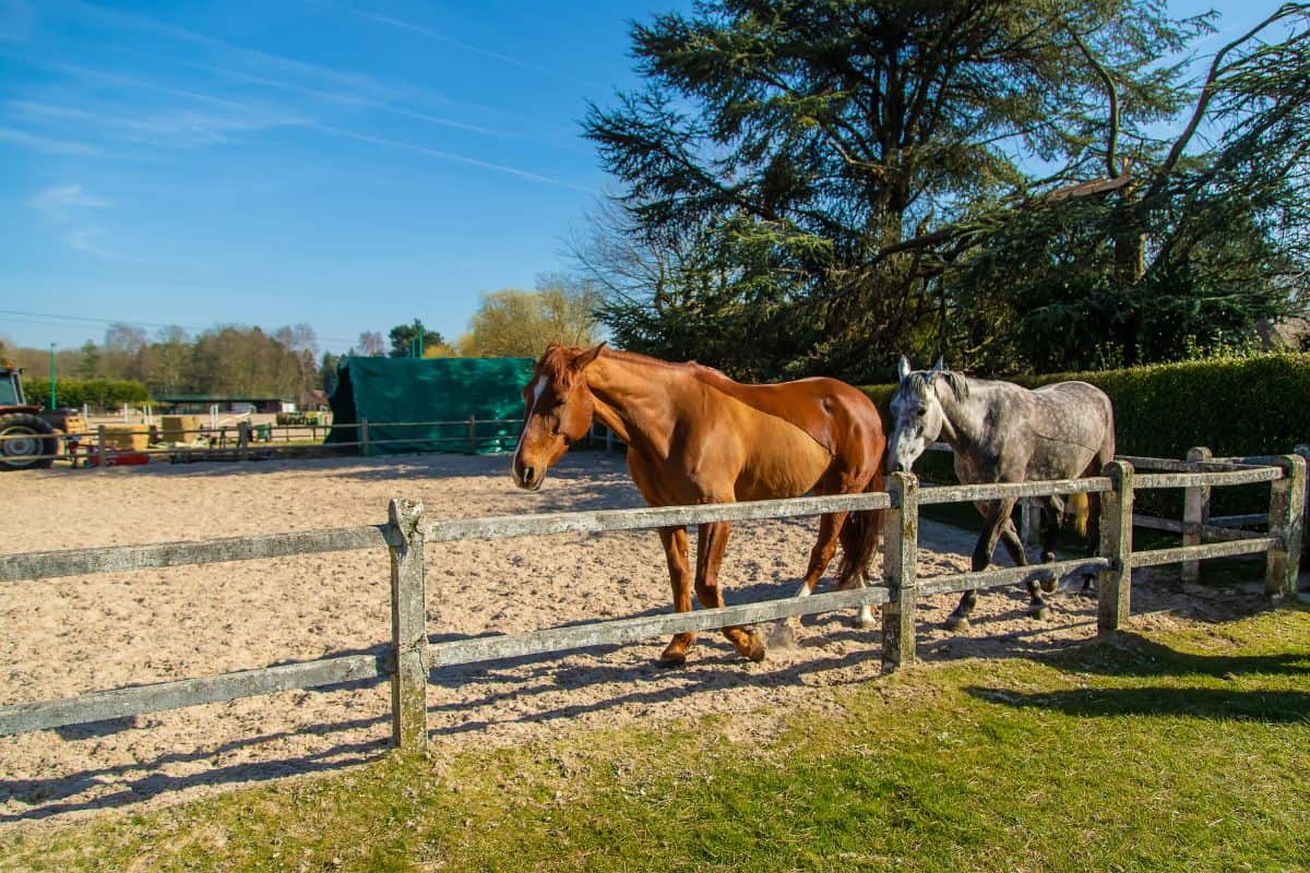 Paddocks waste collection Essex