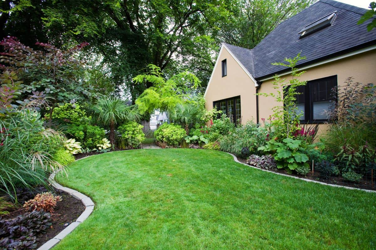 Residential Garden Pet Waste Removal